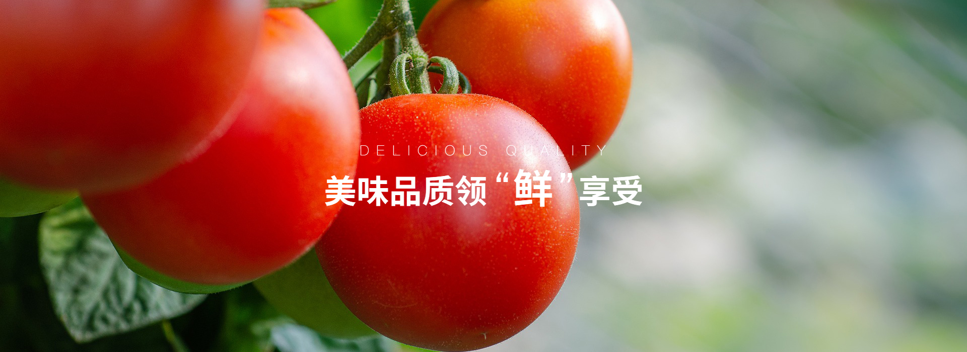 乐鱼体育官方入口