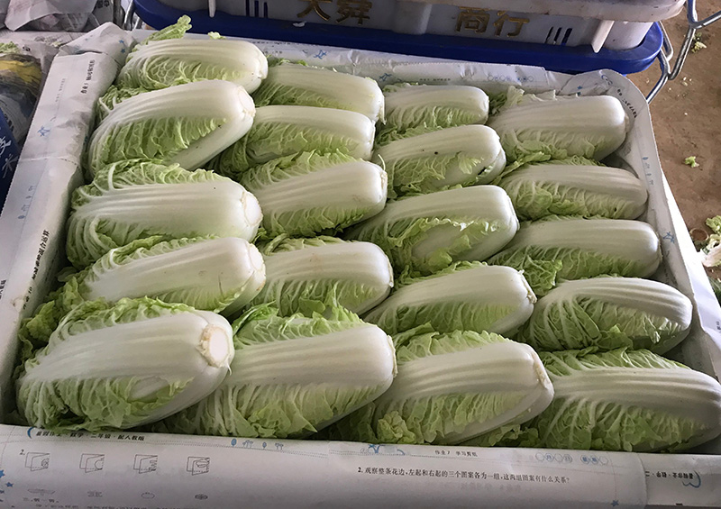 乐鱼体育官方入口